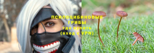 сатива Касимов