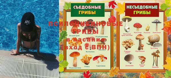 сатива Касимов
