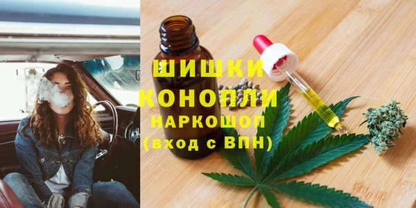 сатива Касимов