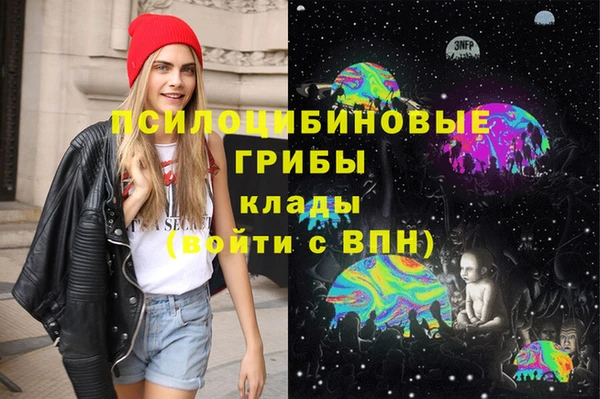 сатива Касимов