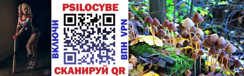 Купить где  Кингисепп  Псилоцибиновые грибы Psilocybine cubensis 