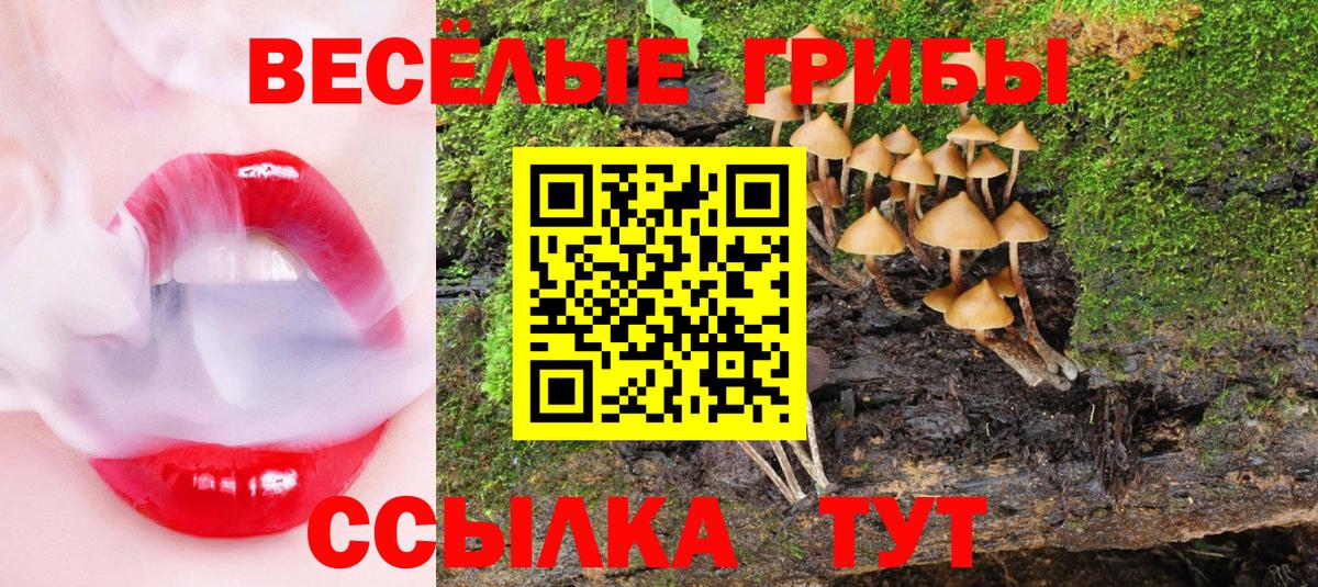 Галлюциногенные грибы Psilocybine cubensis  купить  сайты  Кингисепп 