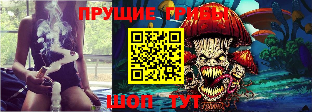 Псилоцибиновые грибы Psilocybe Кингисепп