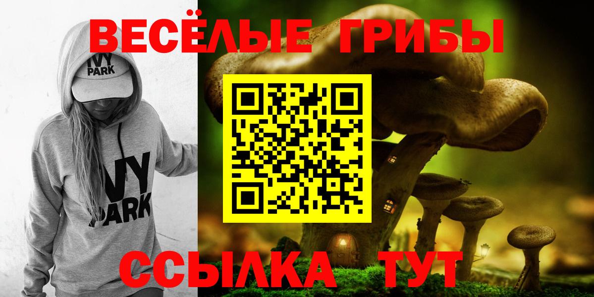Псилоцибиновые грибы мухоморы  Псилоцибиновые грибы Magic Shrooms  где купить   Вход с VPN  Кингисепп 