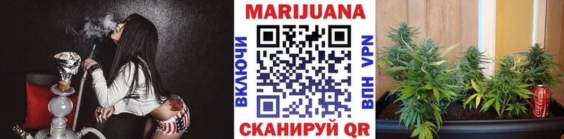 Канабис индика  Купить где  Кингисепп 